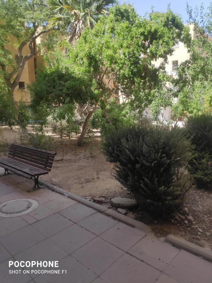 סוויטה של אלון Apartment Arad Exterior foto
