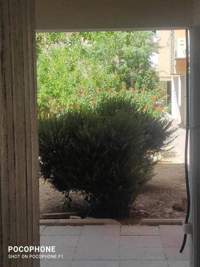 סוויטה של אלון Apartment Arad Exterior foto